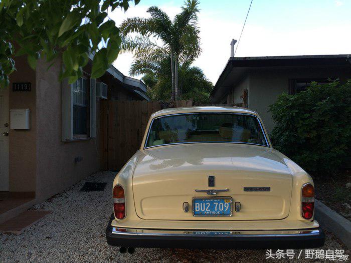 野鹅旅行,野鹅自驾无人区