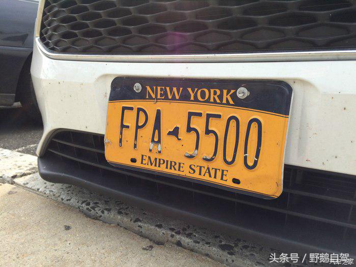 野鹅旅行,野鹅自驾无人区