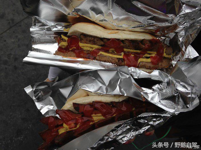 野鹅旅行,野鹅自驾无人区