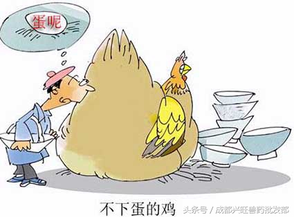 母鸡光蹲窝不下蛋是怎么回事,母鸡下蛋下不出来怎么办
