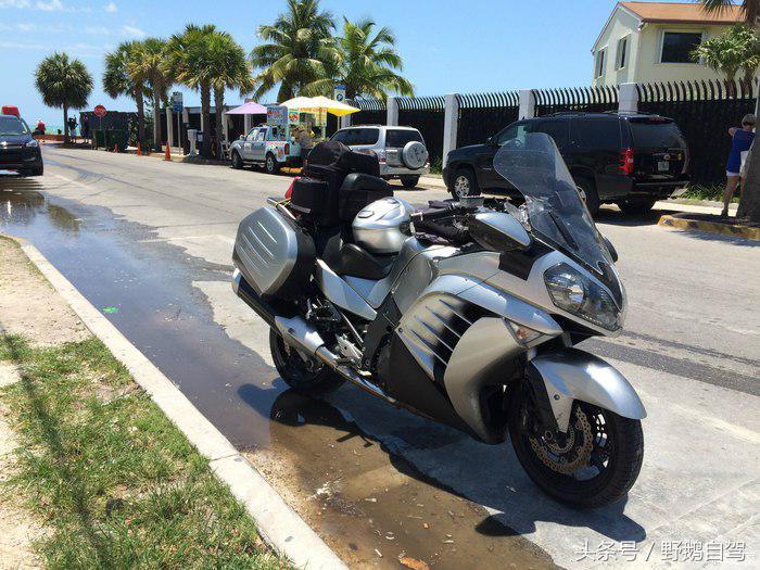 野鹅旅行,野鹅自驾无人区