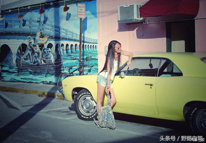 野鹅旅行,野鹅自驾无人区