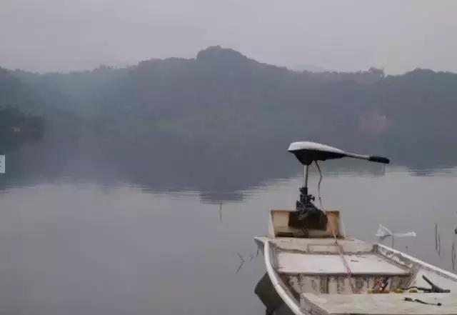 周末自驾采摘一日游,周末自驾游误入一个世外桃源