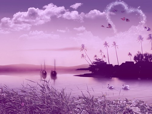 亦舒的婚姻经典语录,亦舒的喜宝经典语录