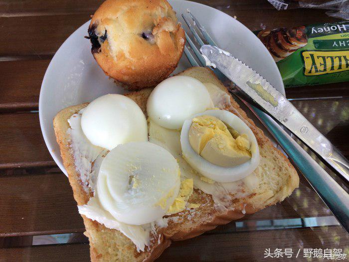 野鹅旅行,野鹅自驾无人区