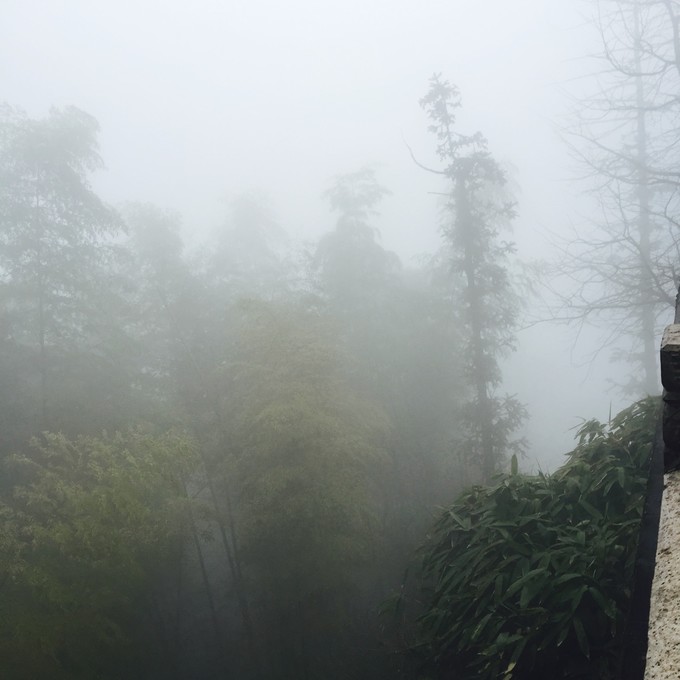 九华山黄山西递宏村纯玩四日游,黄山宏村经典四日游附详细攻略