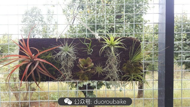 向阳的玻璃花房,玻璃花房设计建造