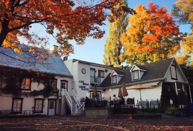 你们都错了，其实加拿大的秋季才是最厉害的时装大师