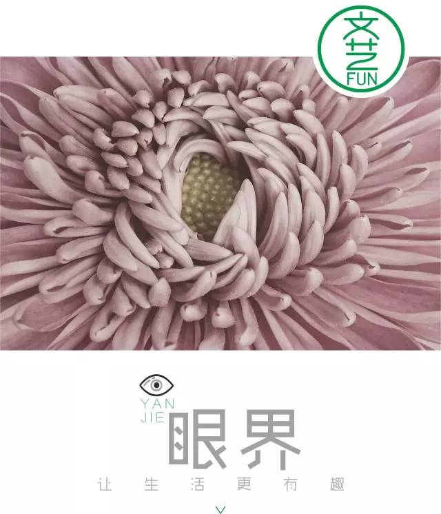 菊花味的清香,菊花的味道可以吸引好多人