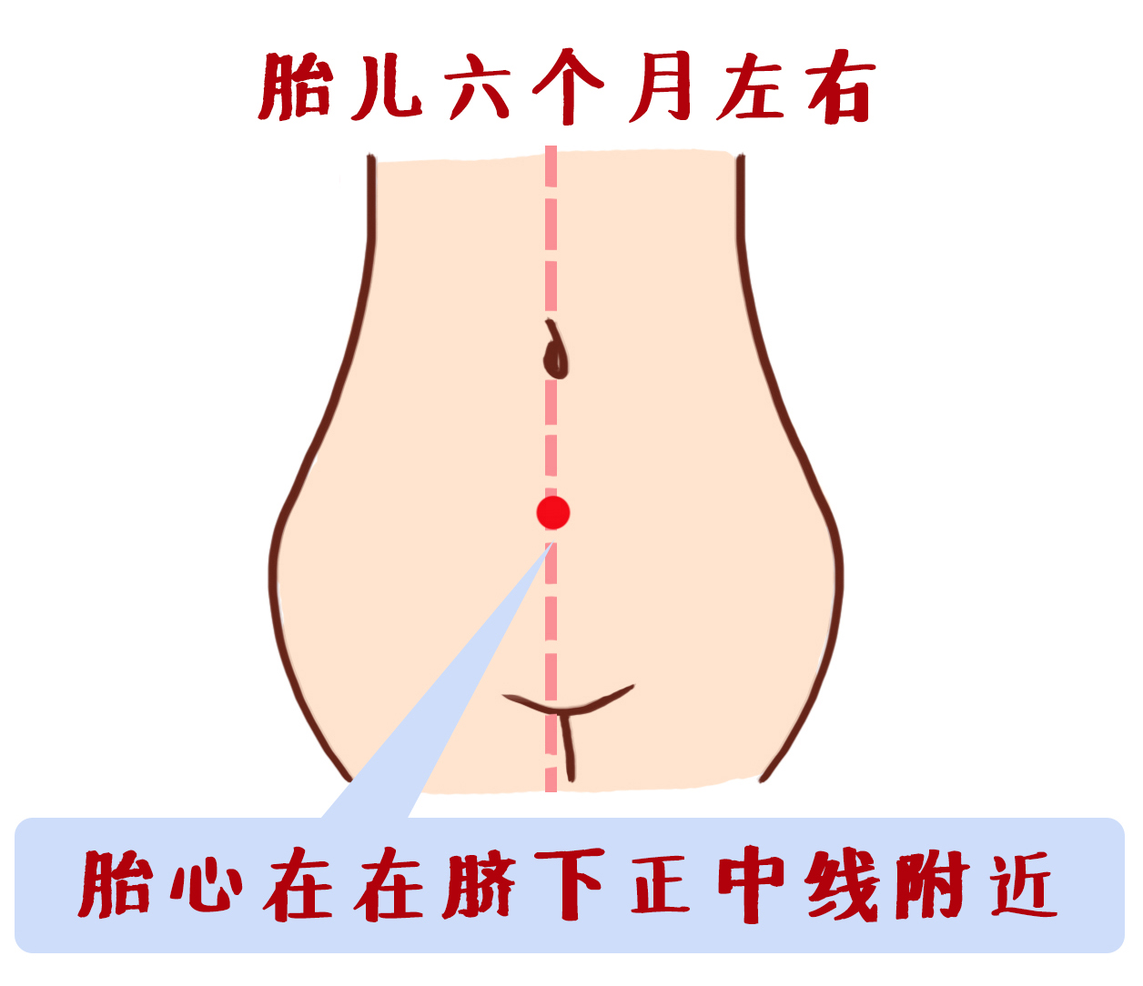 产检全过程详细讲解 (最全产检时间表新手妈妈必收藏)