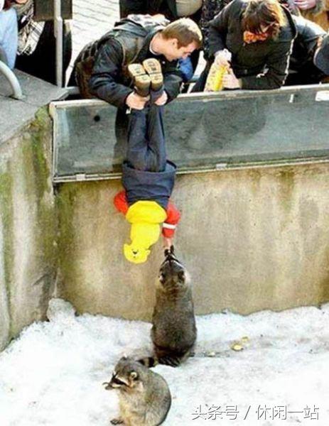 不靠谱爸爸视频,不靠谱的爸爸原视频