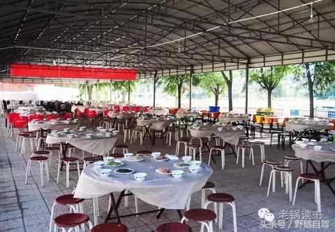 野鹅自驾游经典路线,野鹅户外