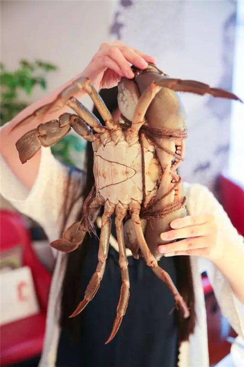 在朝阳吃生蚝,带你去吃最牛的火锅