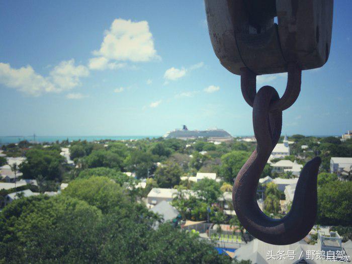 野鹅旅行,野鹅自驾无人区