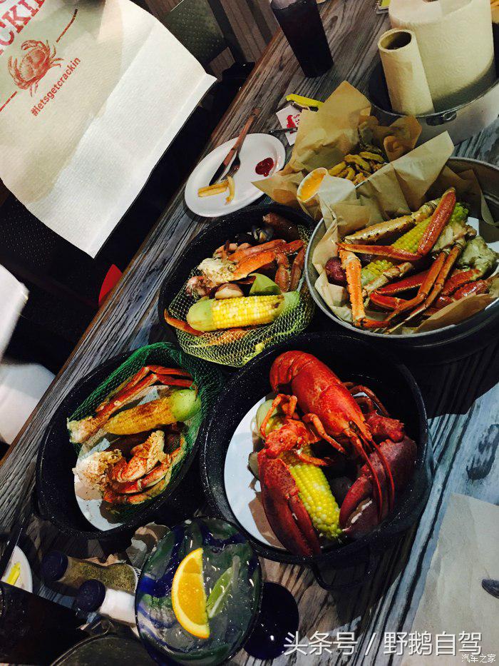 野鹅旅行,野鹅自驾无人区