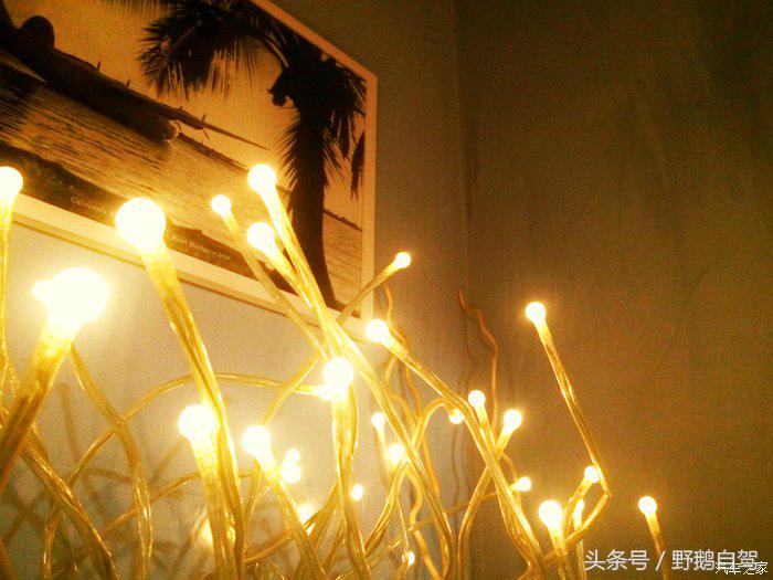 野鹅旅行,野鹅自驾无人区