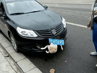 后面的那个小胖子，知道你很可爱，快走开我还要拍照呢！