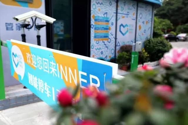 城事,城事完整版视频