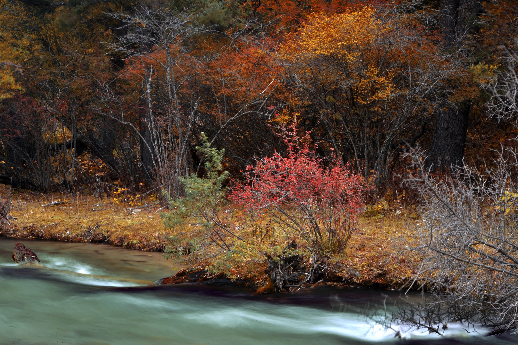 四川雅安宝兴夹金山天气预报,赞美宝兴夹金山红叶