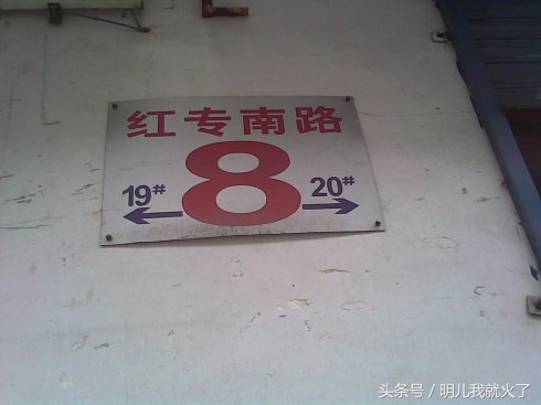 电视剧麻雀1-50集在线观看,麻雀2之惊蛰电视剧在线免费观看