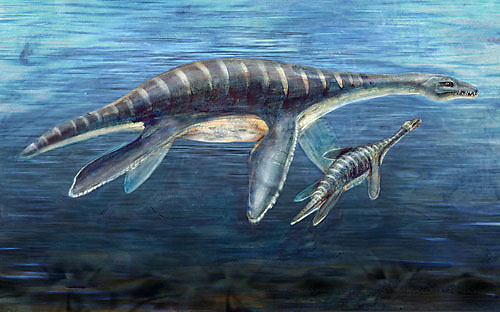 揭秘水怪之谜完整版,探索发现水怪之谜纪录片