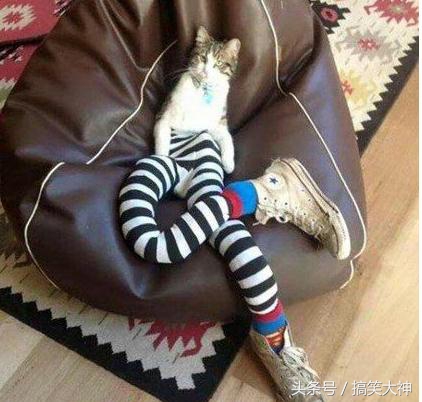 口红断了怎么修复没有冰箱,断口红修复