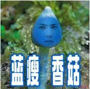 顶着这样的睫毛出街，让人尴尬症都犯了！