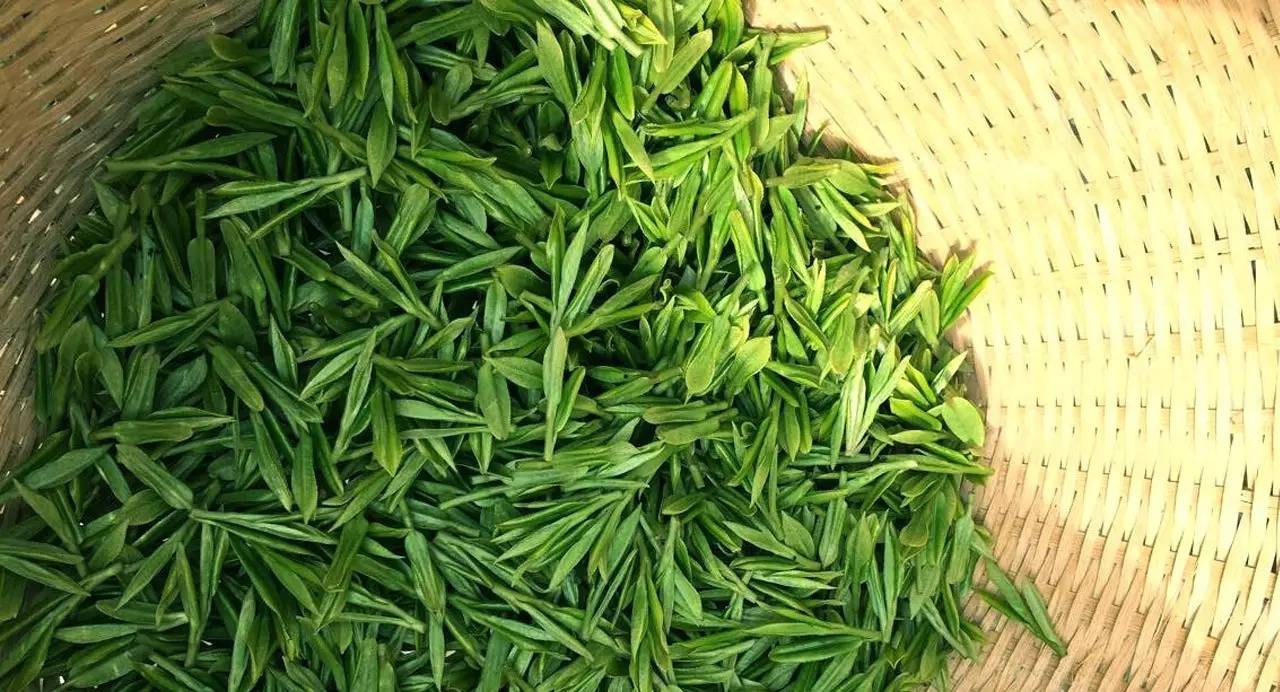 安徽名茶中被列为中国十大名茶,十大名茶为何没有湖南安化的黑茶