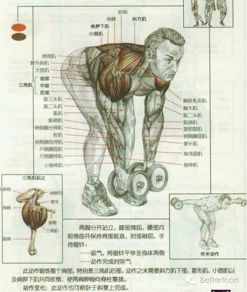 最全哑铃教学,手臂哑铃肌肉训练10个动作图解