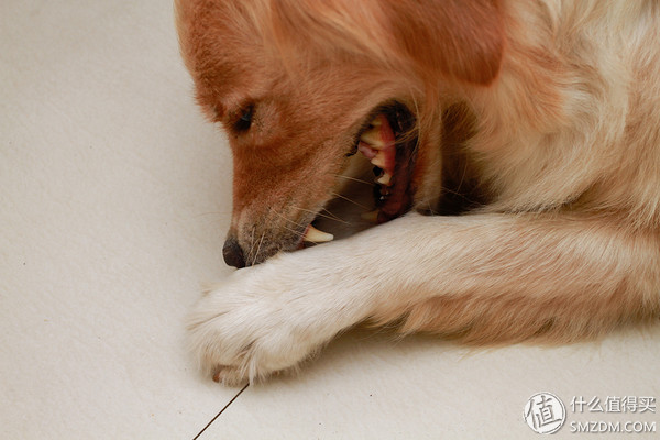 备孕婚前体验,备孕亲身经历和感受