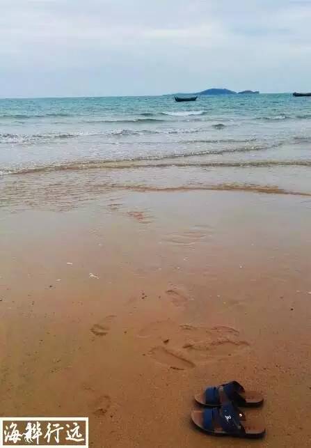 自驾游从青岛怎么走崂山沿海公路,青岛崂山哪个路线最短最好玩