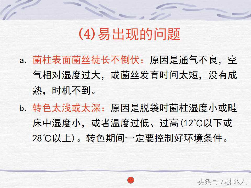 香菇栽培实用技术教案,屋顶香菇栽培