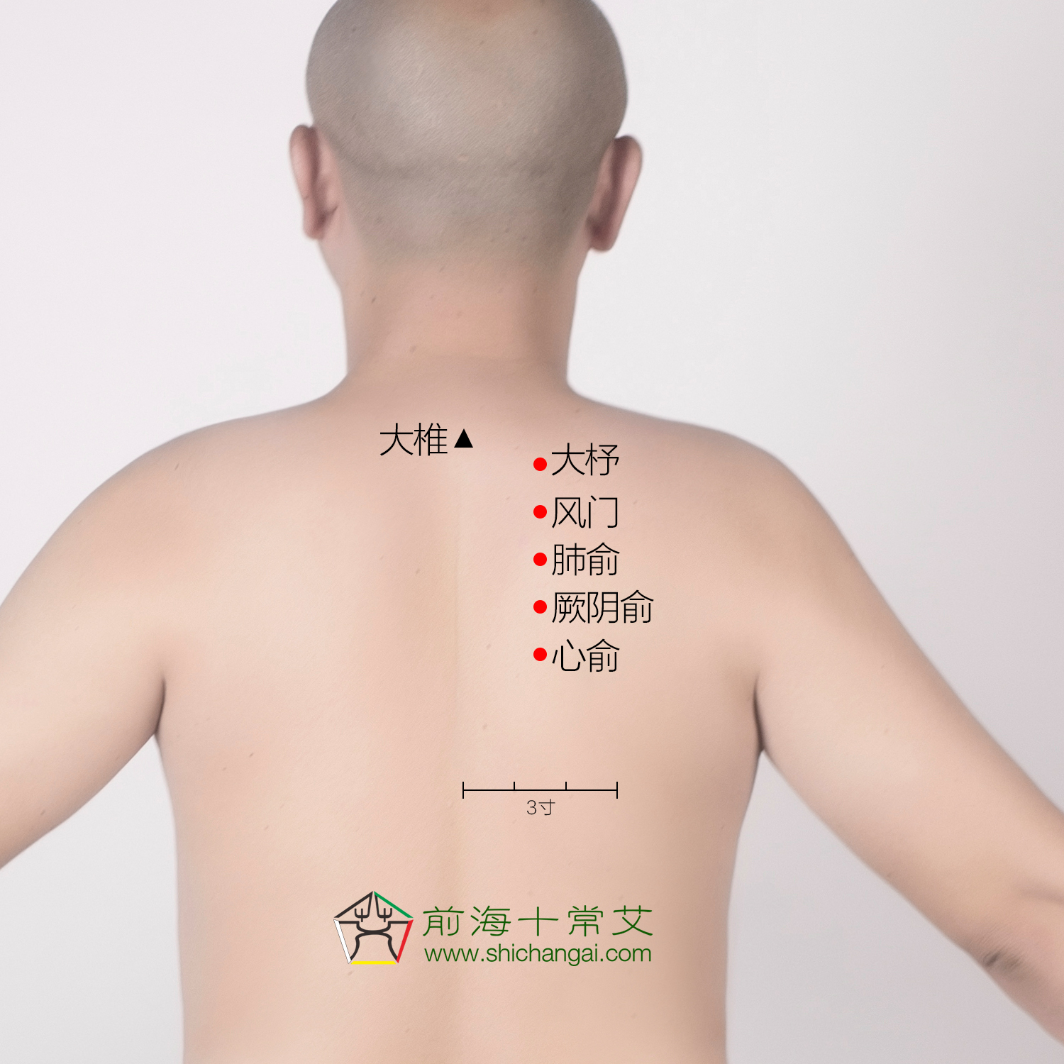 秋天防鼻炎的最佳方法,鼻炎灸艾灸灸什么部位