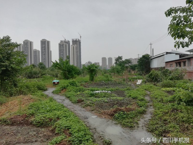 温江文体中心二期,温江创智湖文体公园什么时候开建