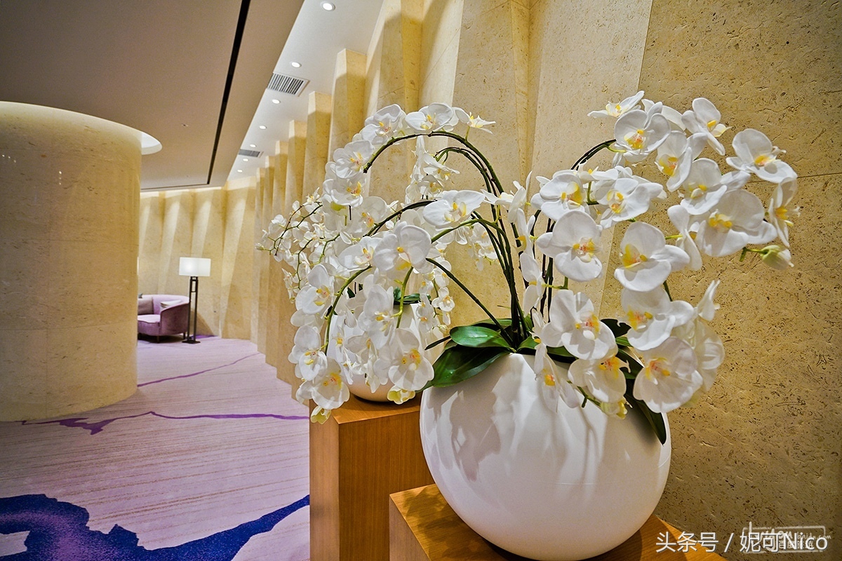 韩国济州岛3天旅游景点,旅游去济州岛值得吗