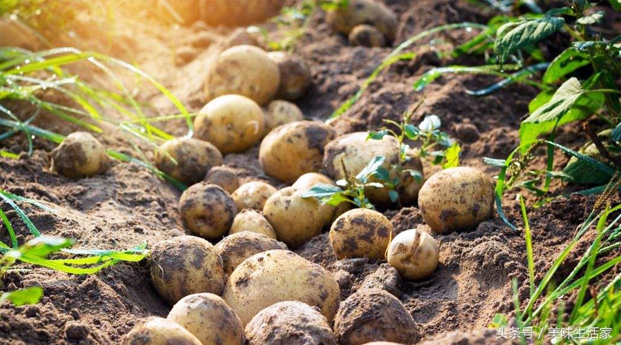 备孕男士补精生精最快的方法,男人补精益肾的补品冬天