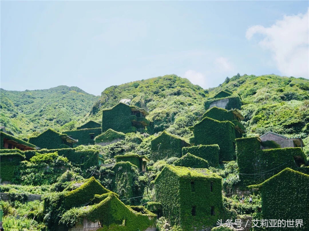 生活不止杯中的枸杞还有诗和远方 (生活不止有诗和远方 还有枸杞)