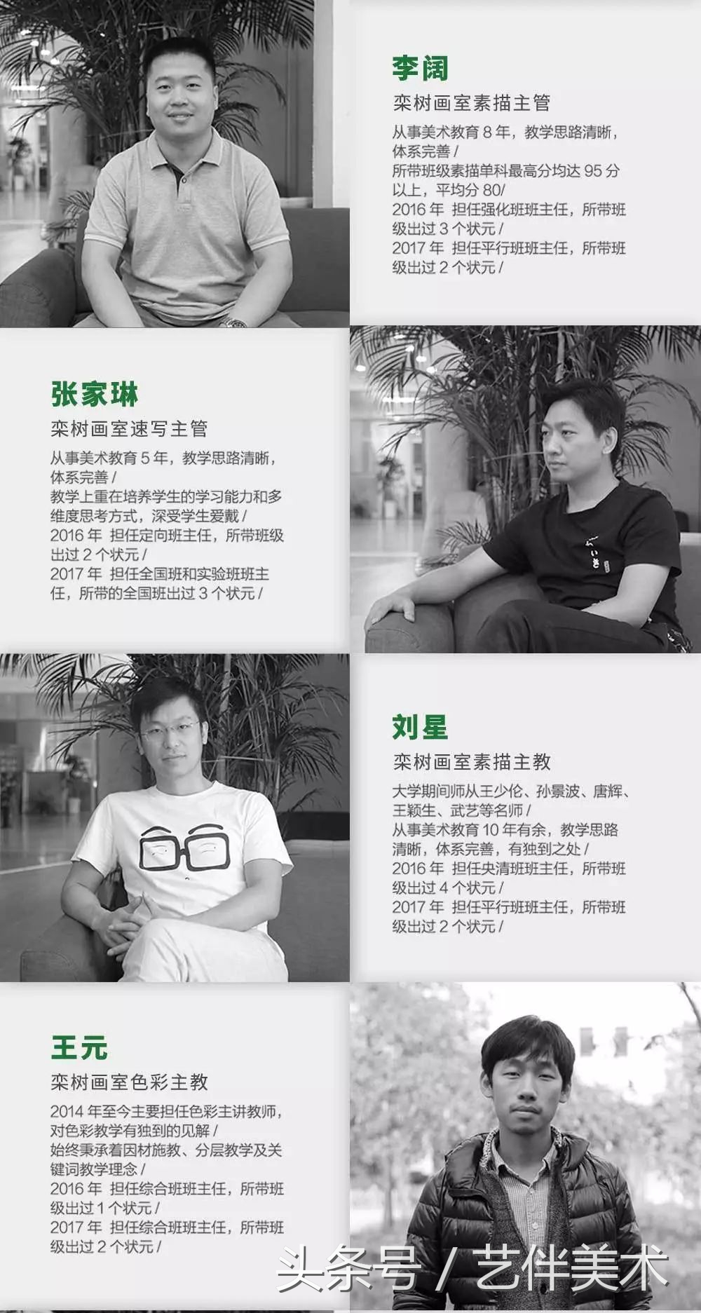 栾树画室北京,栾树画室