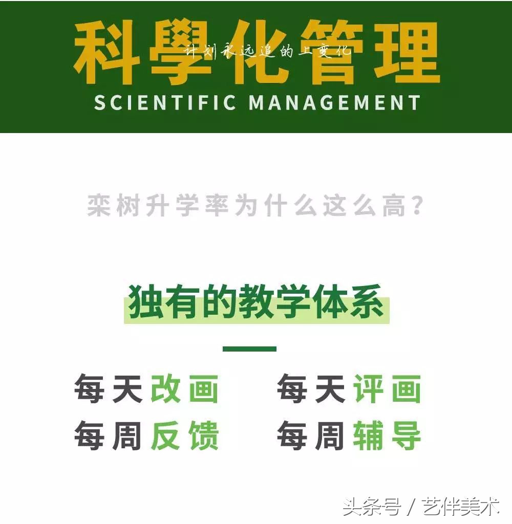 北京宋庄栾树画室环境,北京栾树画室基础教学