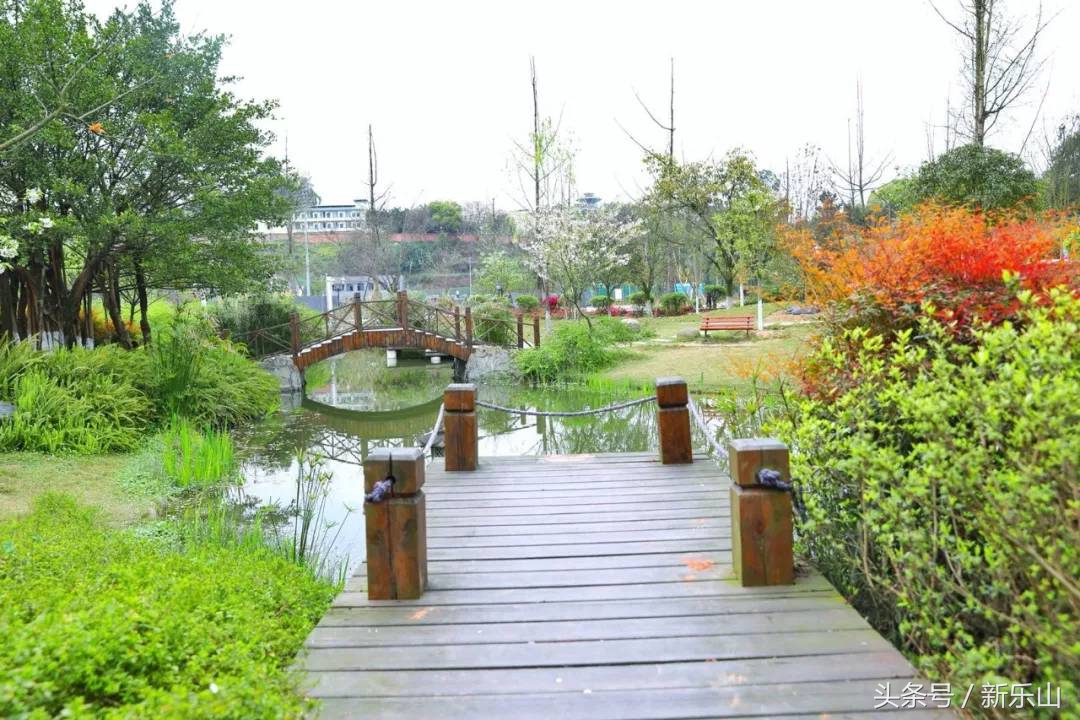 乐山的春天有多美,没去过乐山大佛但感觉去过