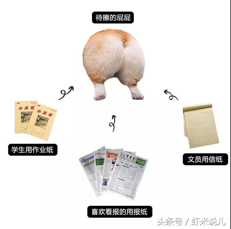 「虾讨论」擦屁纸，到底应该扔哪里比较合适？