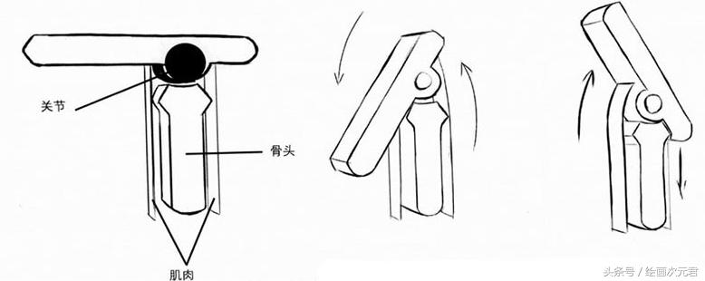 人体结构动态临摹练习册,人体结构怎么画才不僵硬