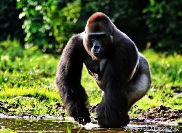 这些冷知识让你涨姿势,超实用的冷知识你知道几个