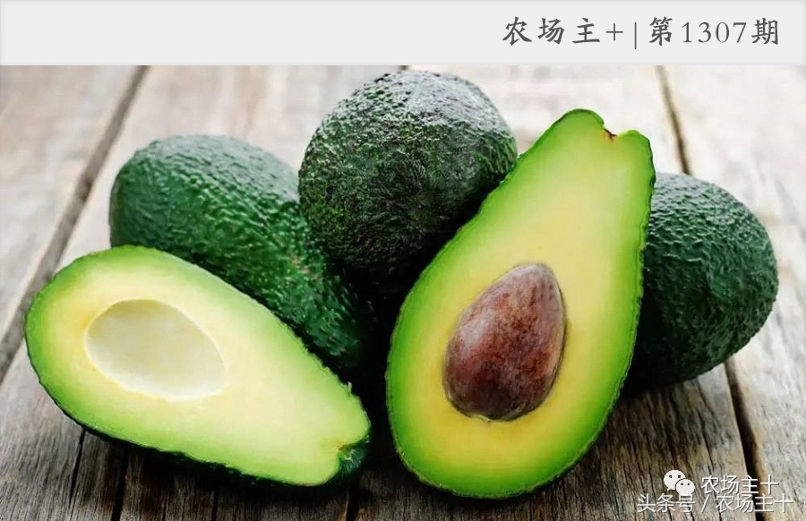 牛油果这么难吃，怎么变成大爆款？这可能是最成功的*脑洗**型营销