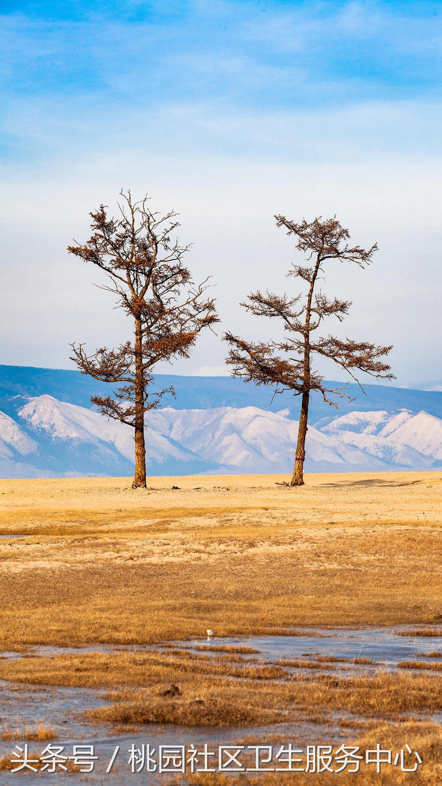 亲亲,约会前,先看看这条科普很有必要哦~
