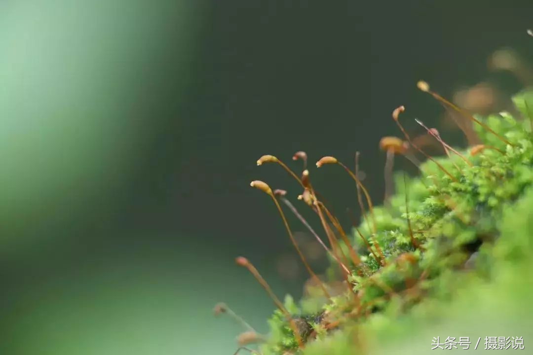 nisi耐司滤镜,nisi耐司滤镜钻石版