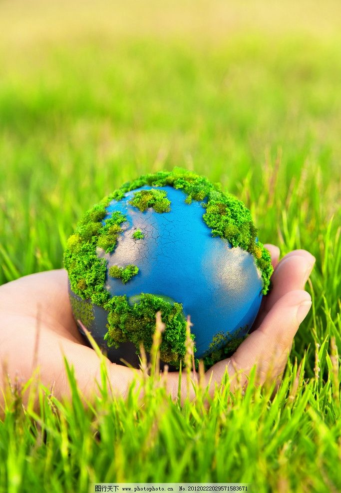 河南男子捡到只怪鸟，想要放生，专家看完后：价值600万