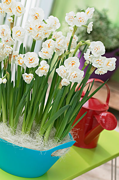 致自己的人生感悟句句都是忠告,致自己的人生感悟语录短句