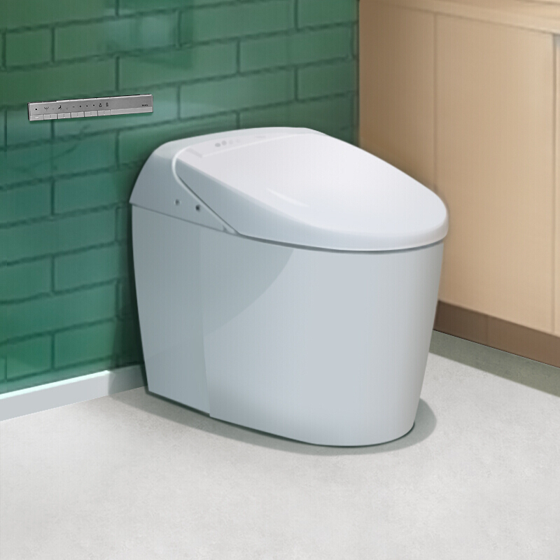 国外高价卖马桶,中国马桶出售国外