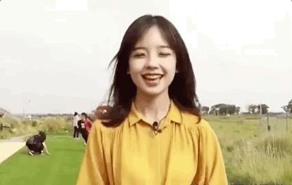 央视八位未结婚的女人,央视十大美女主持人轶事